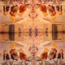 023 Foxwood Tales - 3-lagig - Molca - Brian Paterson